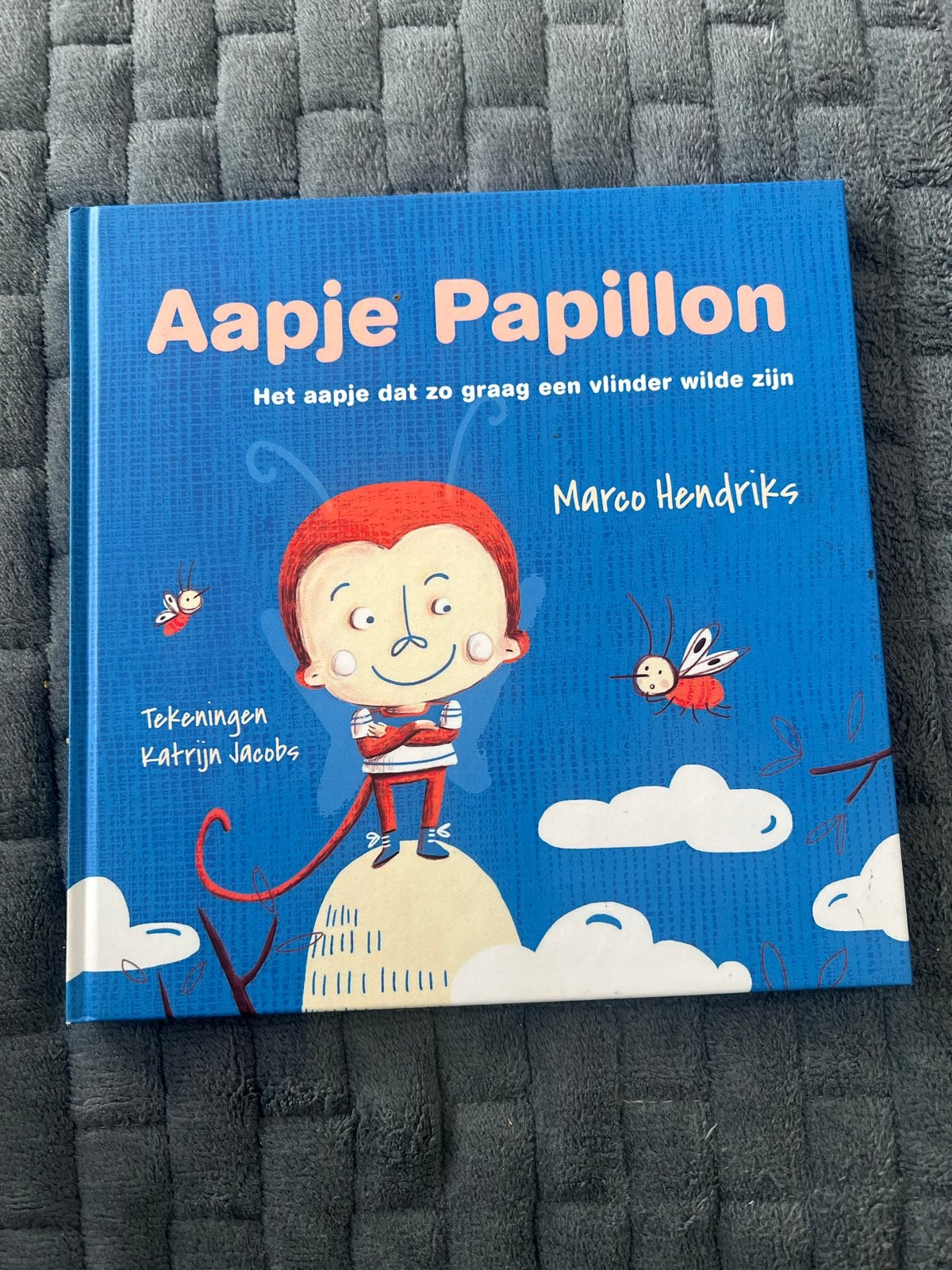 Aapje Papillon: Het aapje dat zo graag een vlinder wilde zij, Ophalen of Verzenden, Zo goed als nieuw, Fictie algemeen