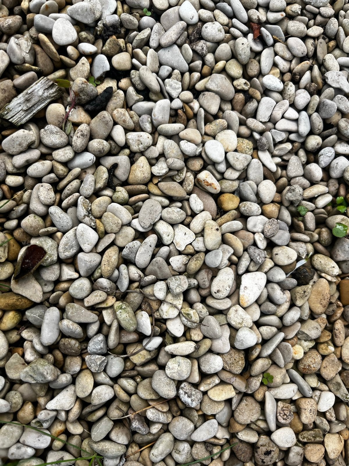 Wit Carrara split grind - gratis af te halen (8m2), Tuin en Terras, Gebruikt, Wit, Ophalen of Verzenden, Grind