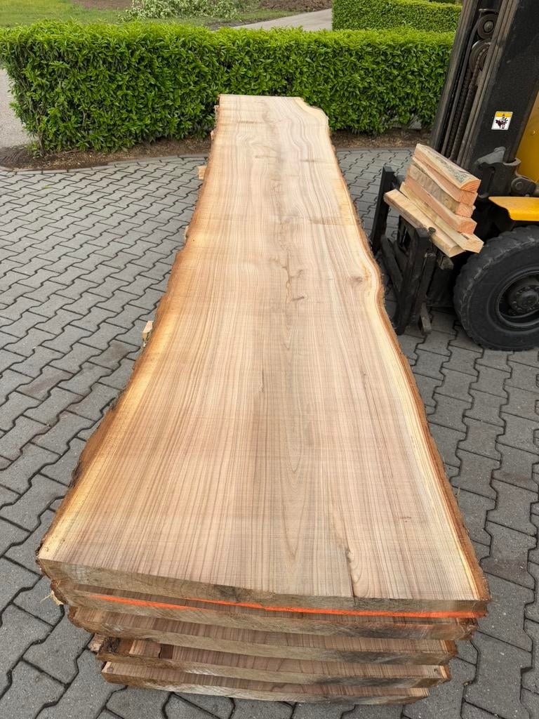 Grote iepen boomstambladen 410x70-80x7cm, Ophalen, Planken, Zo goed als nieuw, Hardhout