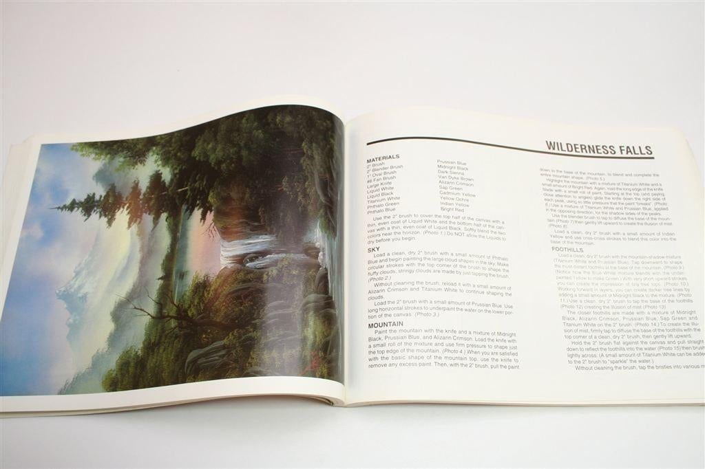 Ontdek Schilderen met Bob Ross — Stap-voor-stap Uitleg, Ophalen of Verzenden, Gelezen, Tekenen en Schilderen