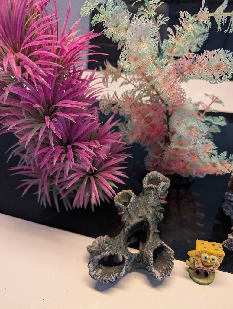 Aquarium decorations, Ophalen of Verzenden, Gebruikt, Decoratie