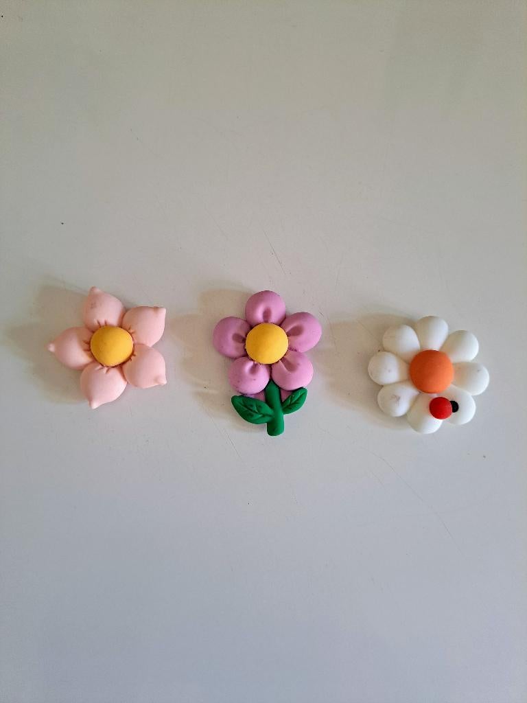 Koelkastmagneetjes bloemen, Ophalen of Verzenden, Nieuw