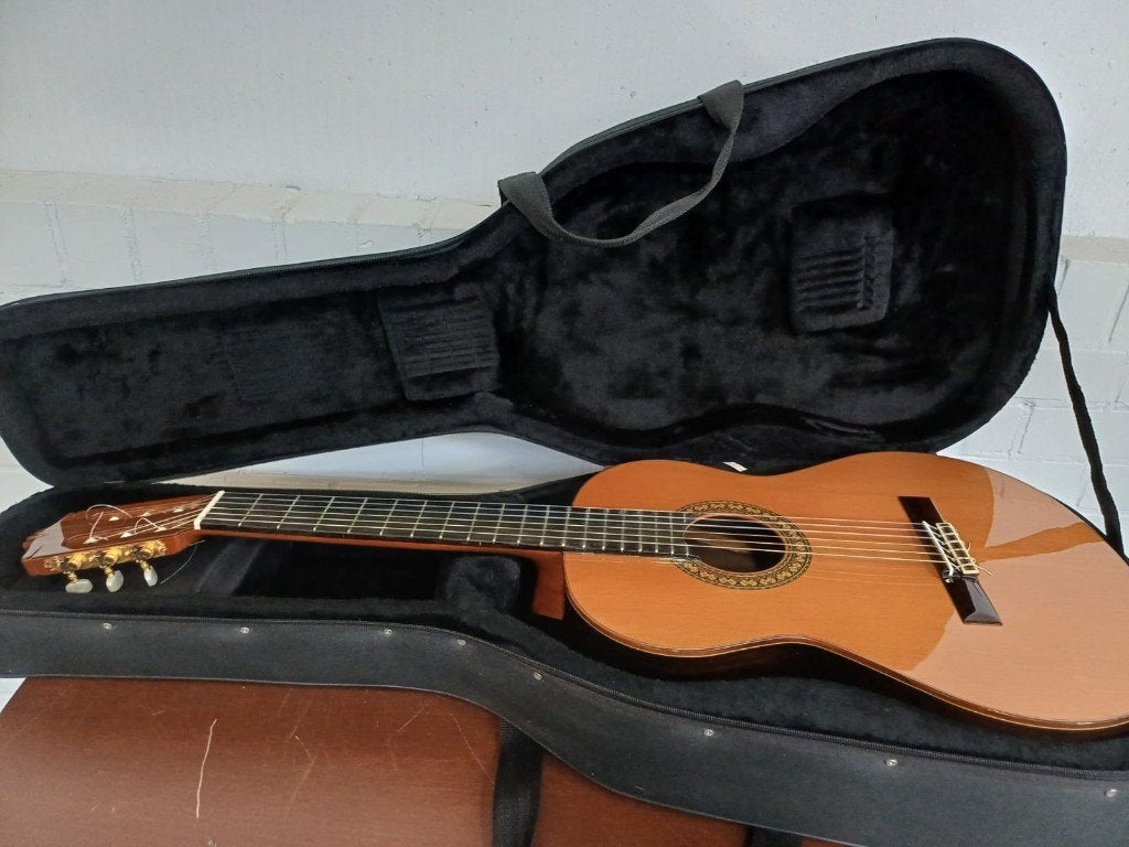 Alhambra 5P klassieke gitaar & gitaarkoffer, Ophalen, Overige typen