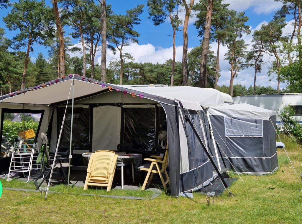 Dorema voortent Ibiza XL 270 De Luxe – Omloopmaat 11 900-925, Ophalen of Verzenden, Gebruikt