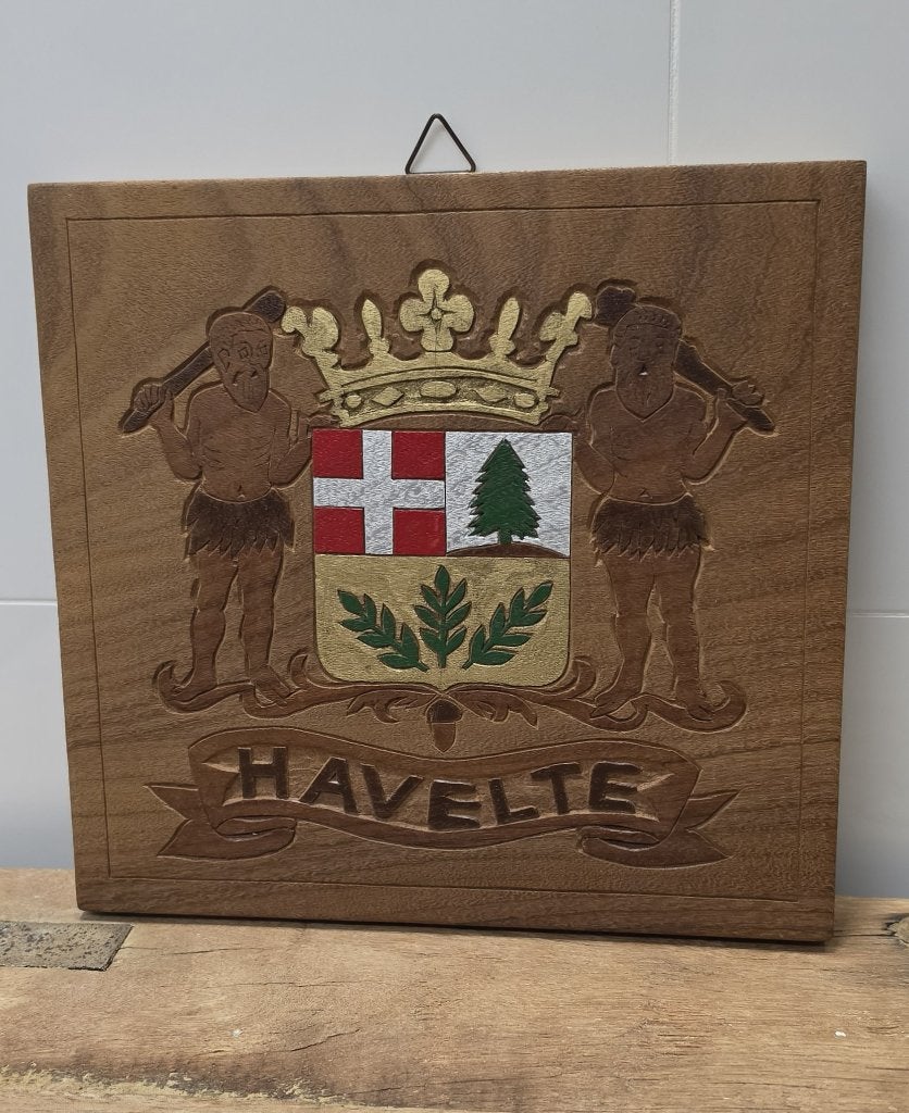 HOUTEN WANDBORD met het WAPEN van de GEMEENTE  HAVELTE, Ophalen of Verzenden