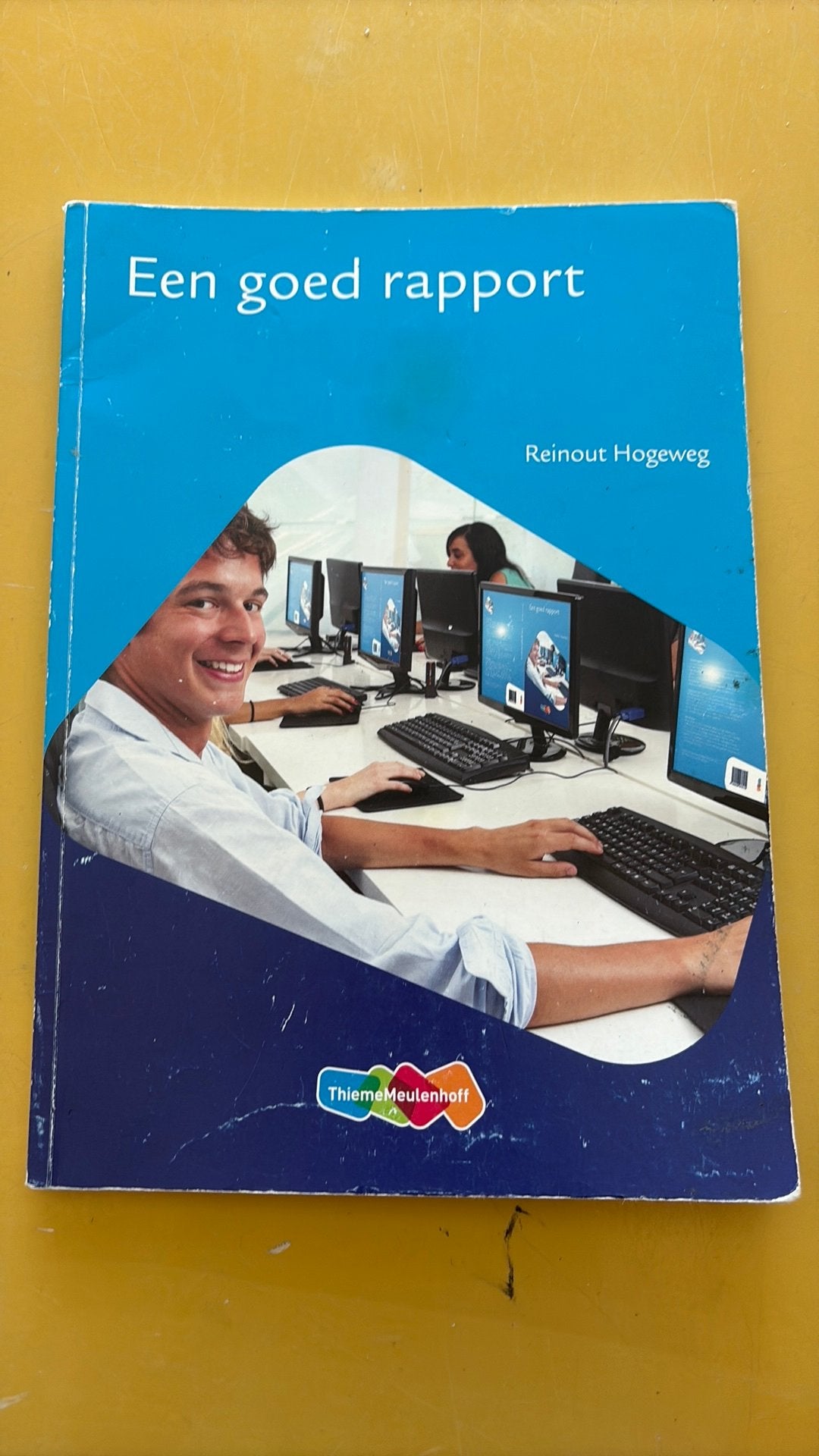 Reinout Hogeweg - Een goed rapport, Boeken, Ophalen of Verzenden, Gelezen, HBO, Reinout Hogeweg