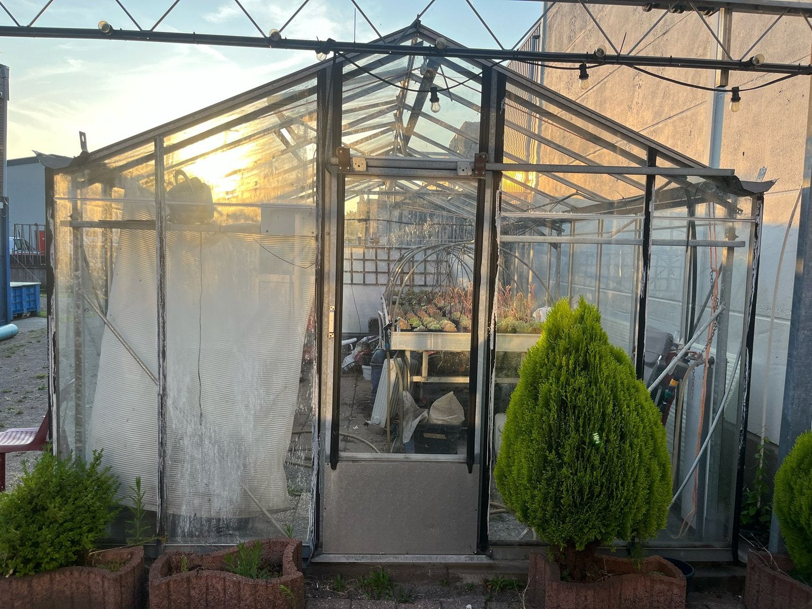 Aangeboden een kweek/hobbykas, Tuin en Terras, Kassen, Ophalen, Glas, Gebruikt, Overige materialen