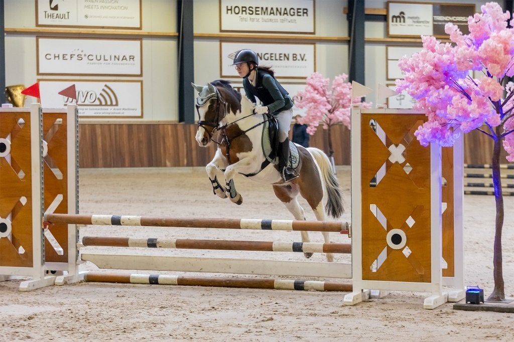 Prachtige bonte D-pony, Dieren en Toebehoren, Gechipt, Ruin, Springpony, L