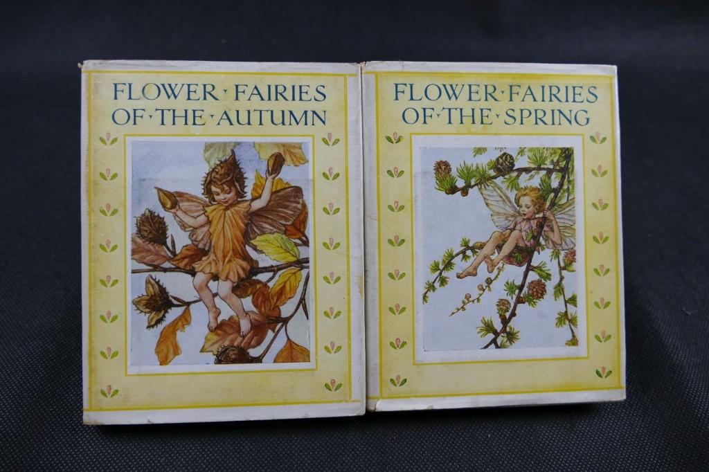 Flower Fairies. Poems and pictures by Cicely Mary Barker, Boeken, Prentenboeken en Plaatjesalbums, Verzenden, Gelezen, Cicely Mary Barker