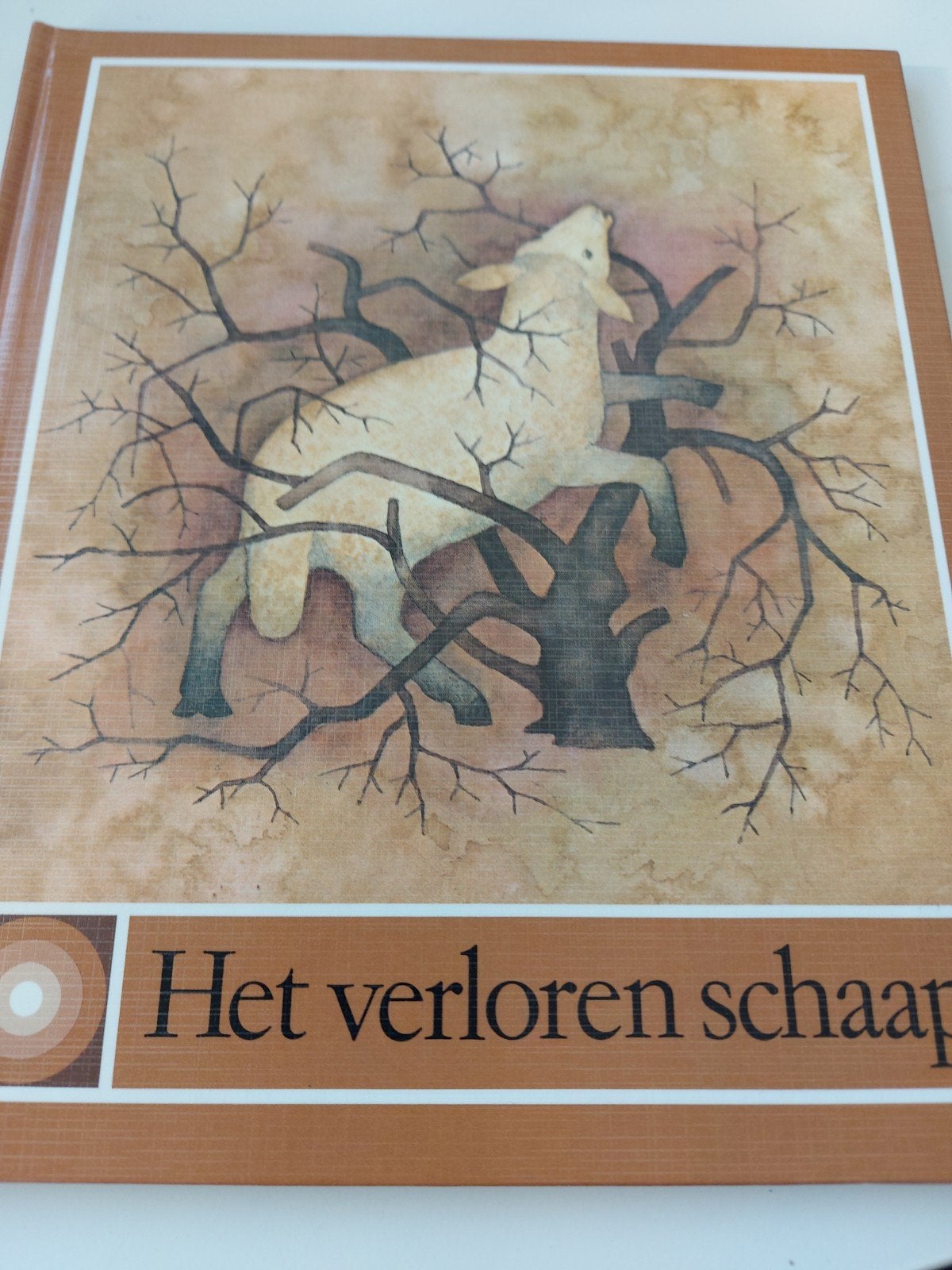 Het verloren schaap - Prachtig geïllustreerd kinderboek, Boeken, Jongen of Meisje, Ophalen of Verzenden, Zo goed als nieuw, 4 jaar