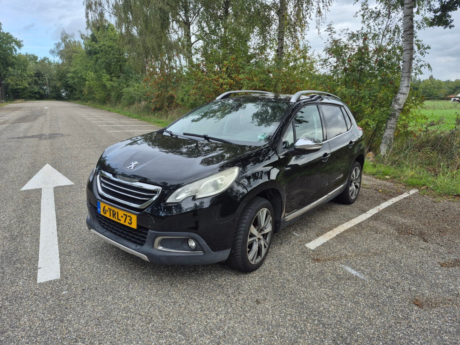 Peugeot 2008 1.6 VTI 88KW/120PK 2014 Zwart