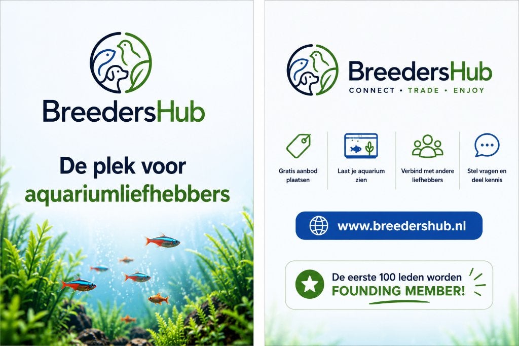 aquarium, Ophalen of Verzenden, Inclusief vissen, Nieuw, Leeg aquarium