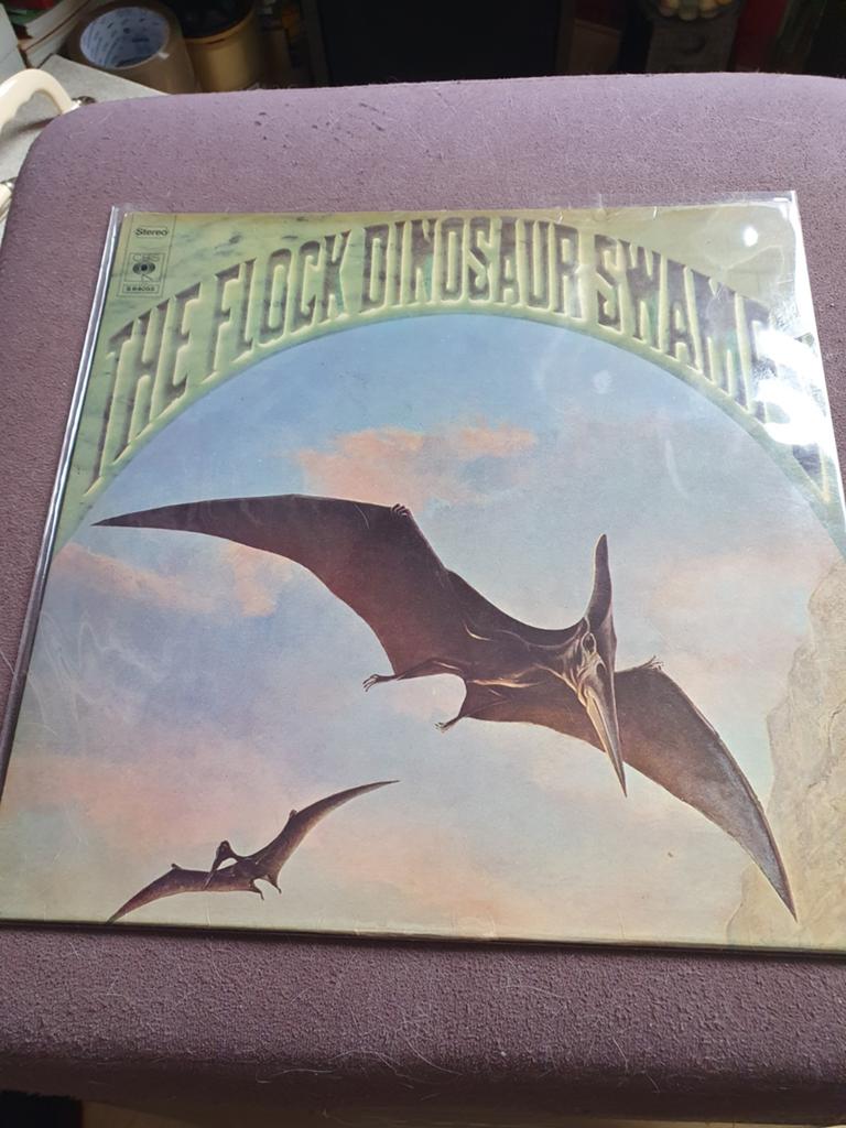 The Flock - Dinosaur swamps, Ophalen of Verzenden, Gebruikt, 12 inch