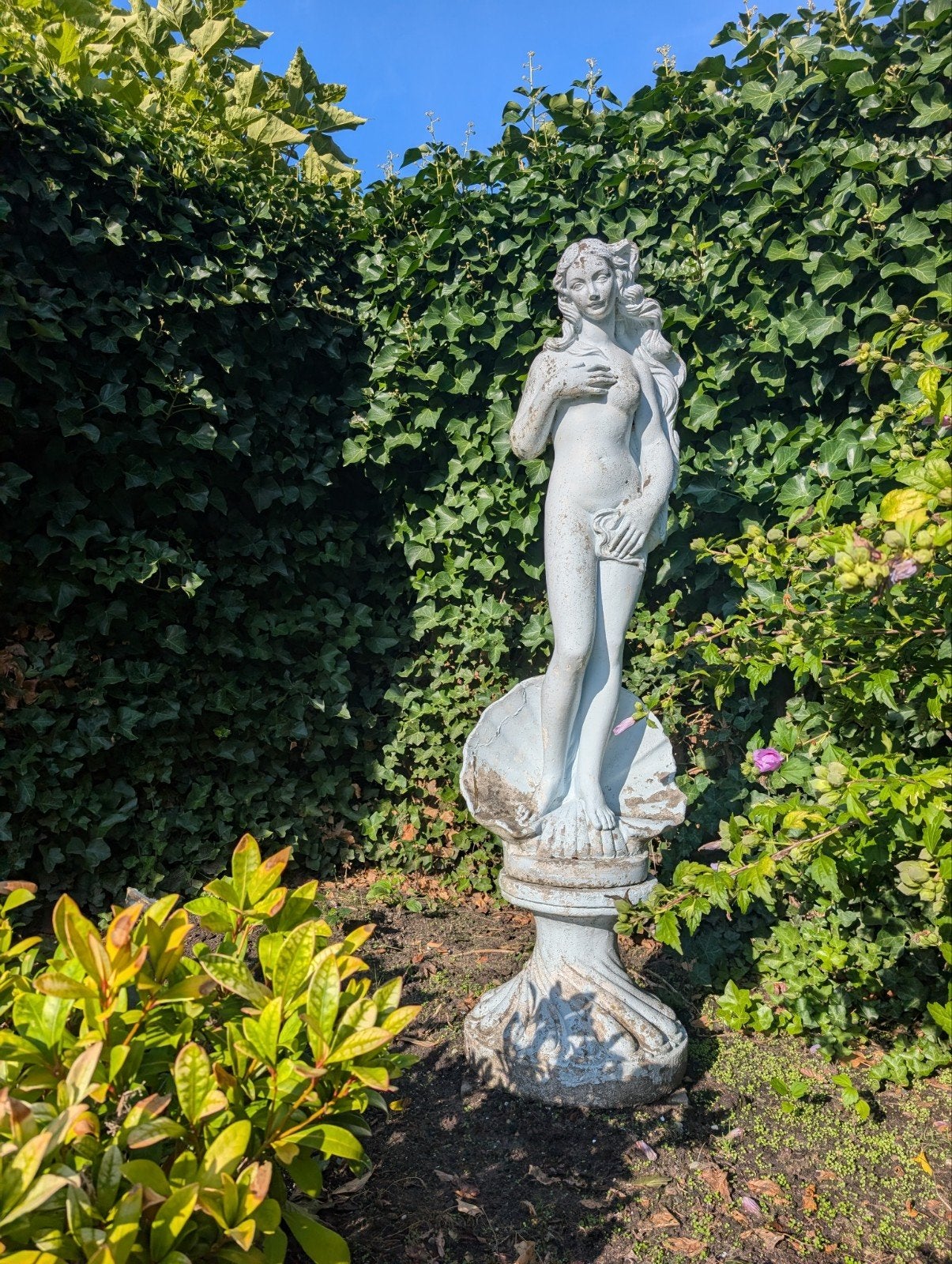 Beeld geboorte van Venus, Tuin en Terras, Ophalen of Verzenden