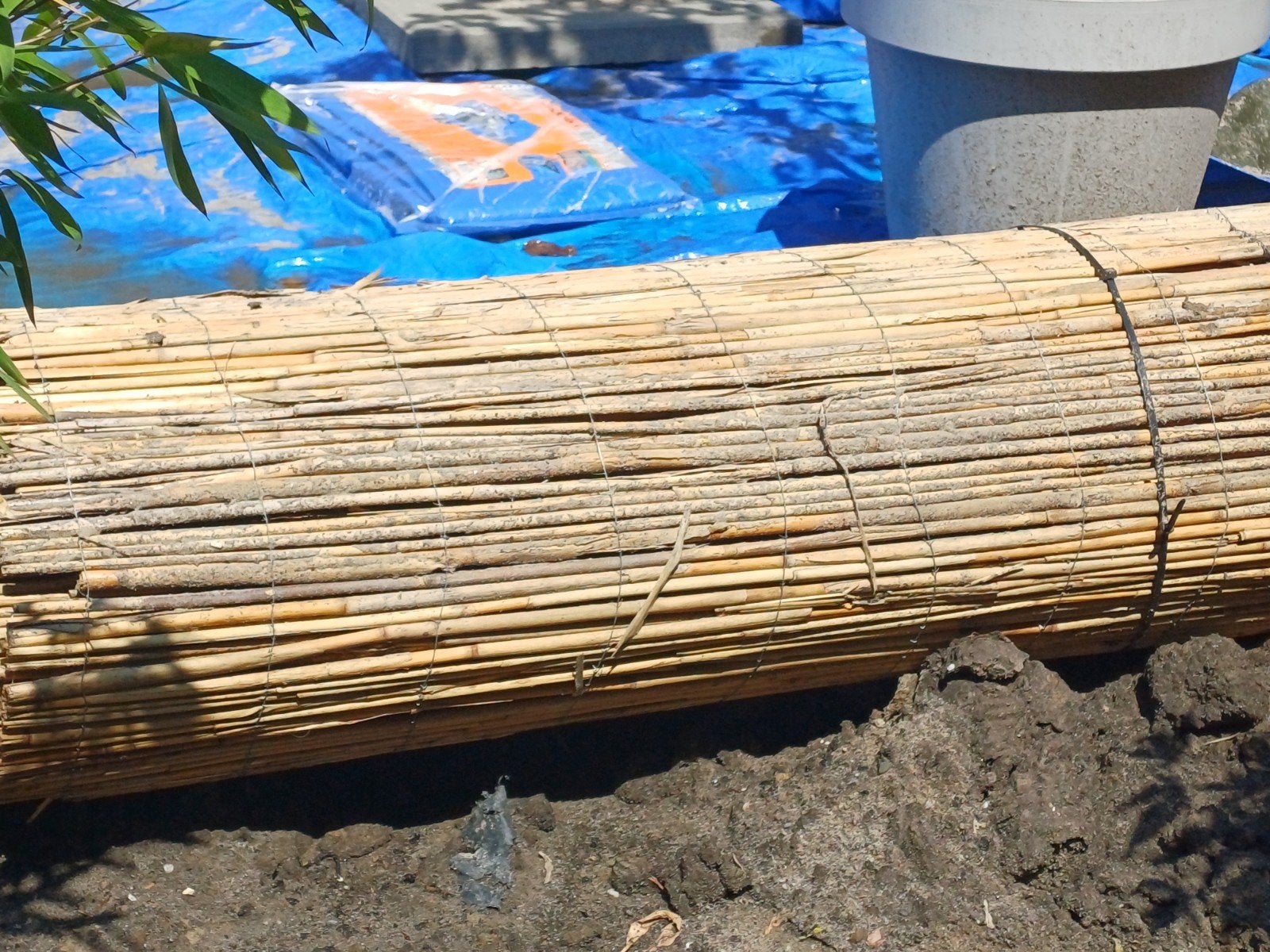 Rieten tuinscherm of afscheiding, Tuin en Terras, Ophalen, Overige materialen, Gebruikt, 2 meter of meer