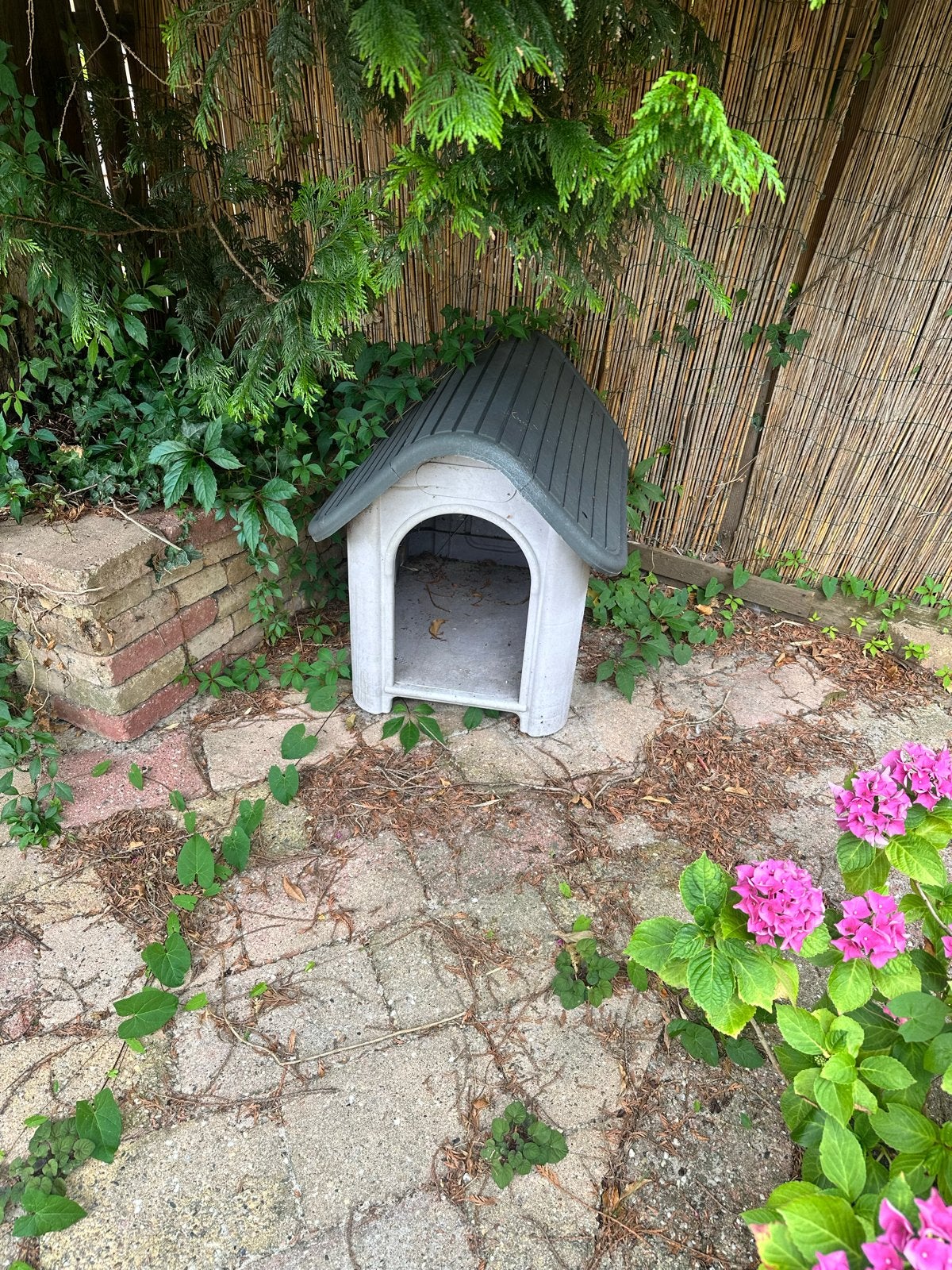 Dog / Cat Kennel Grijs kunststof, Dieren en Toebehoren, Hondenhokken, Ophalen, Nieuw, 110 cm of meer, 100 cm of meer