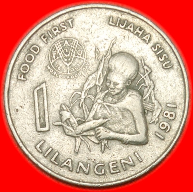 Ⰺ FAO  SWAZILAND  LANGENI 1981!, Postzegels en Munten, Ophalen of Verzenden, Overige landen, Losse munt