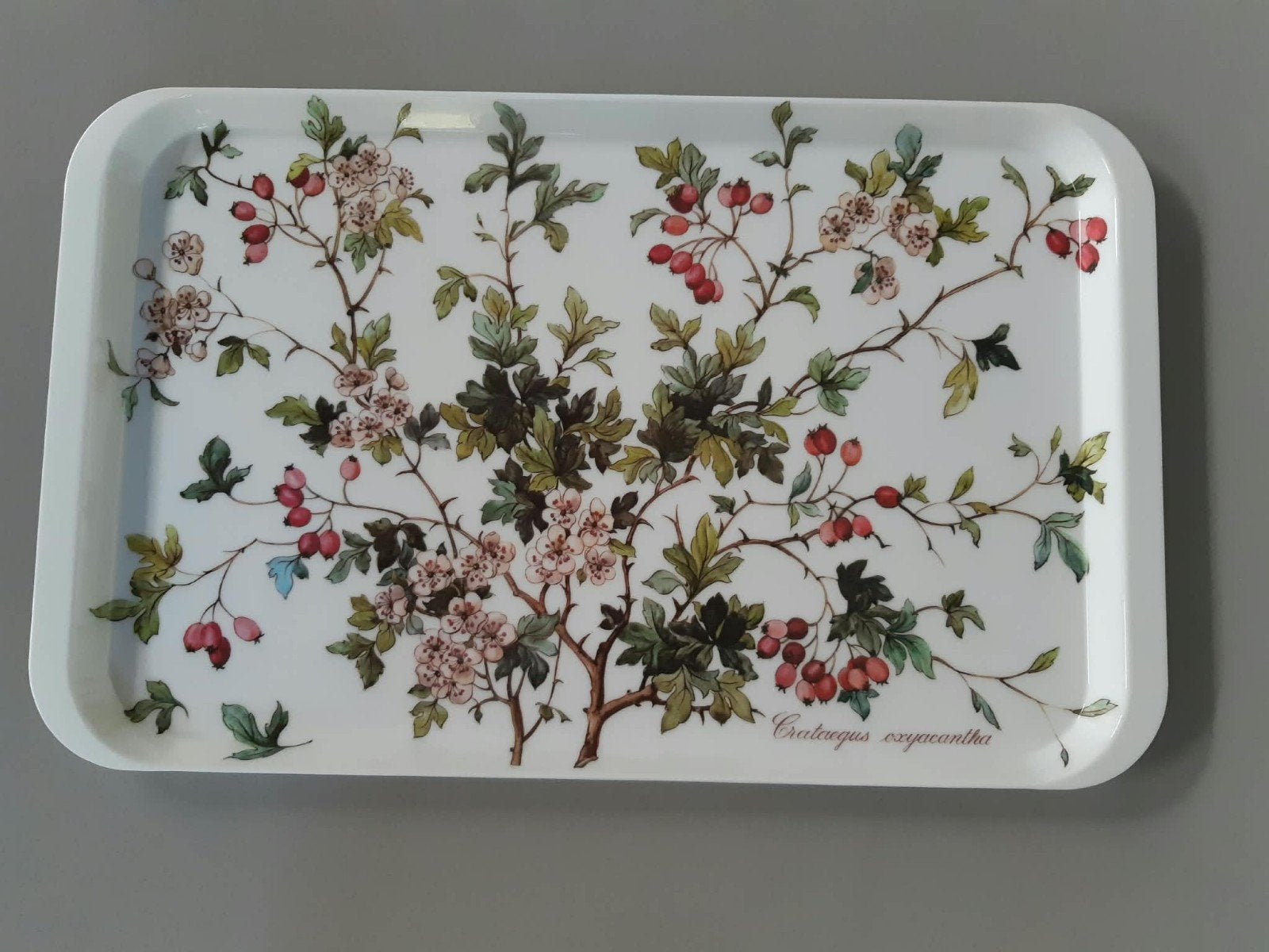 Dienblad Villeroy en Boch Botanica, Ophalen of Verzenden, Zo goed als nieuw, Rond