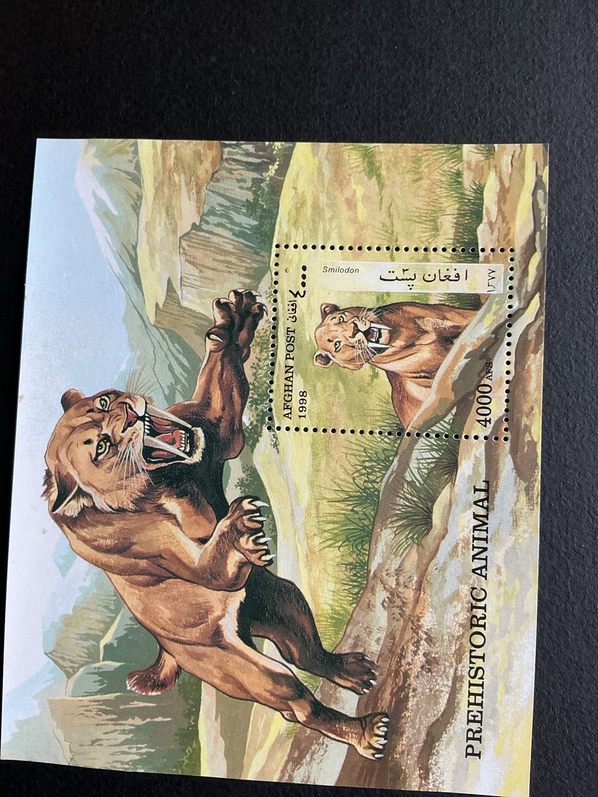 Smilodon Postzegel - Afghanistan 1998 - Prehistorisch Dier, Verzenden, Postfris