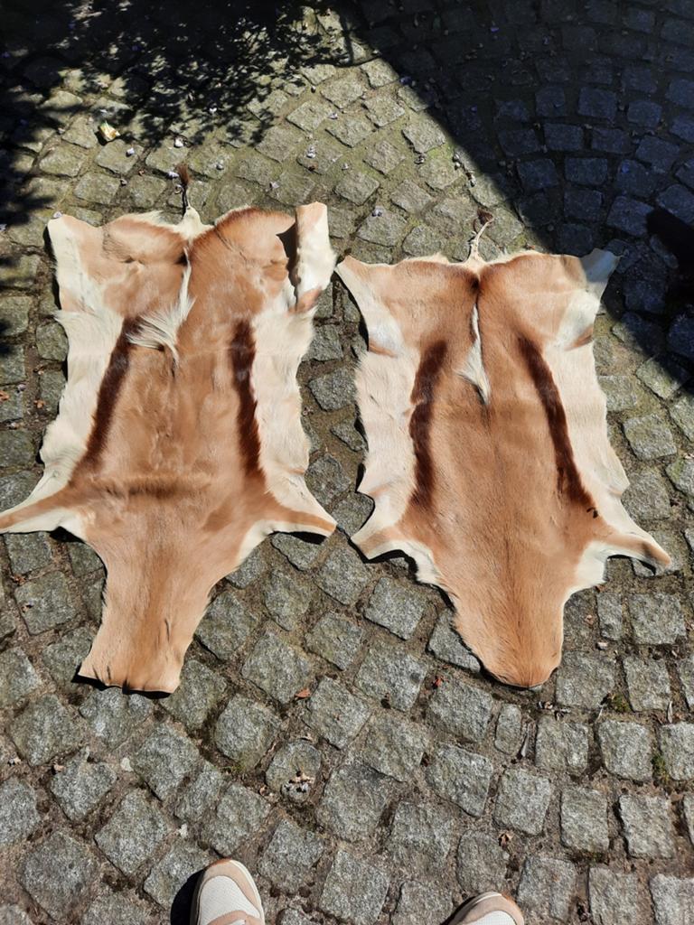 Springbok 2x gazelle, Ophalen, Zo goed als nieuw, Paard, Beeldje of Figuurtje