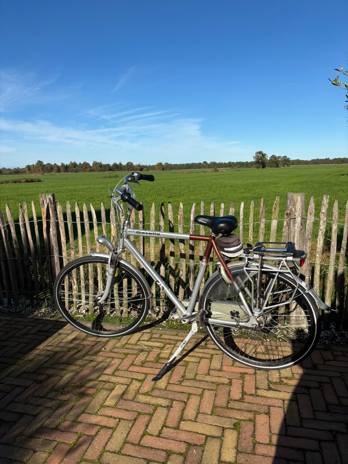 Fiets heren gazelle, Ophalen, Gebruikt, Versnellingen, 57 tot 61 cm