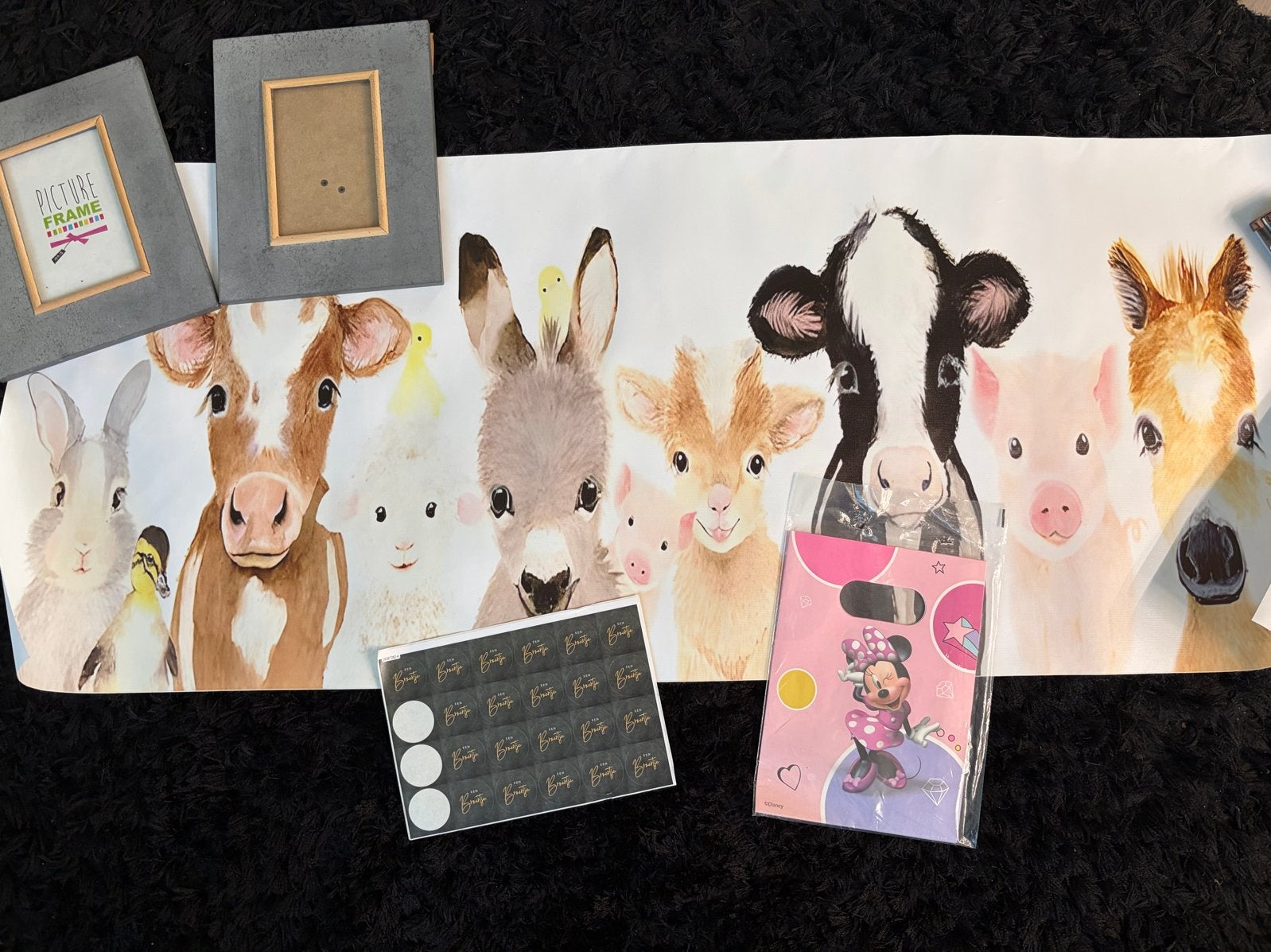 Leuke set: 2 fotolijstjes en dierenposter, Ophalen, Overige materialen, Gebruikt, Met glas