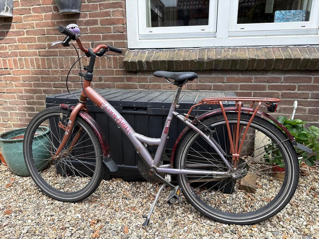 Meisjesfiets Loekie, Fietsen en Brommers, Fietsen | Meisjes, Ophalen, Velgrem, Handrem, Gebruikt