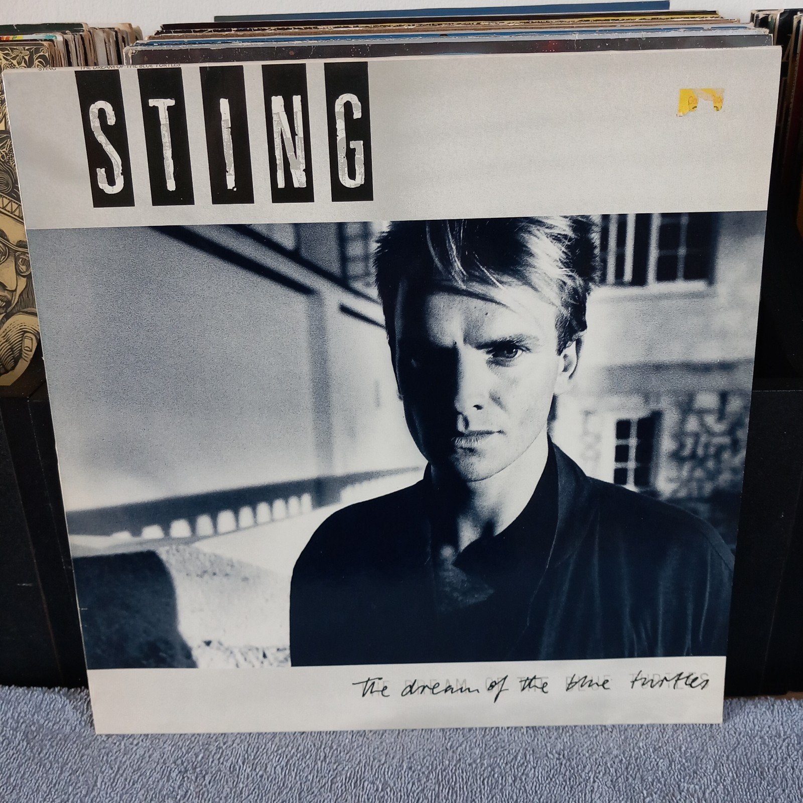 lp Sting dream of the bleu turtles, Ophalen of Verzenden, Gebruikt, 12 inch