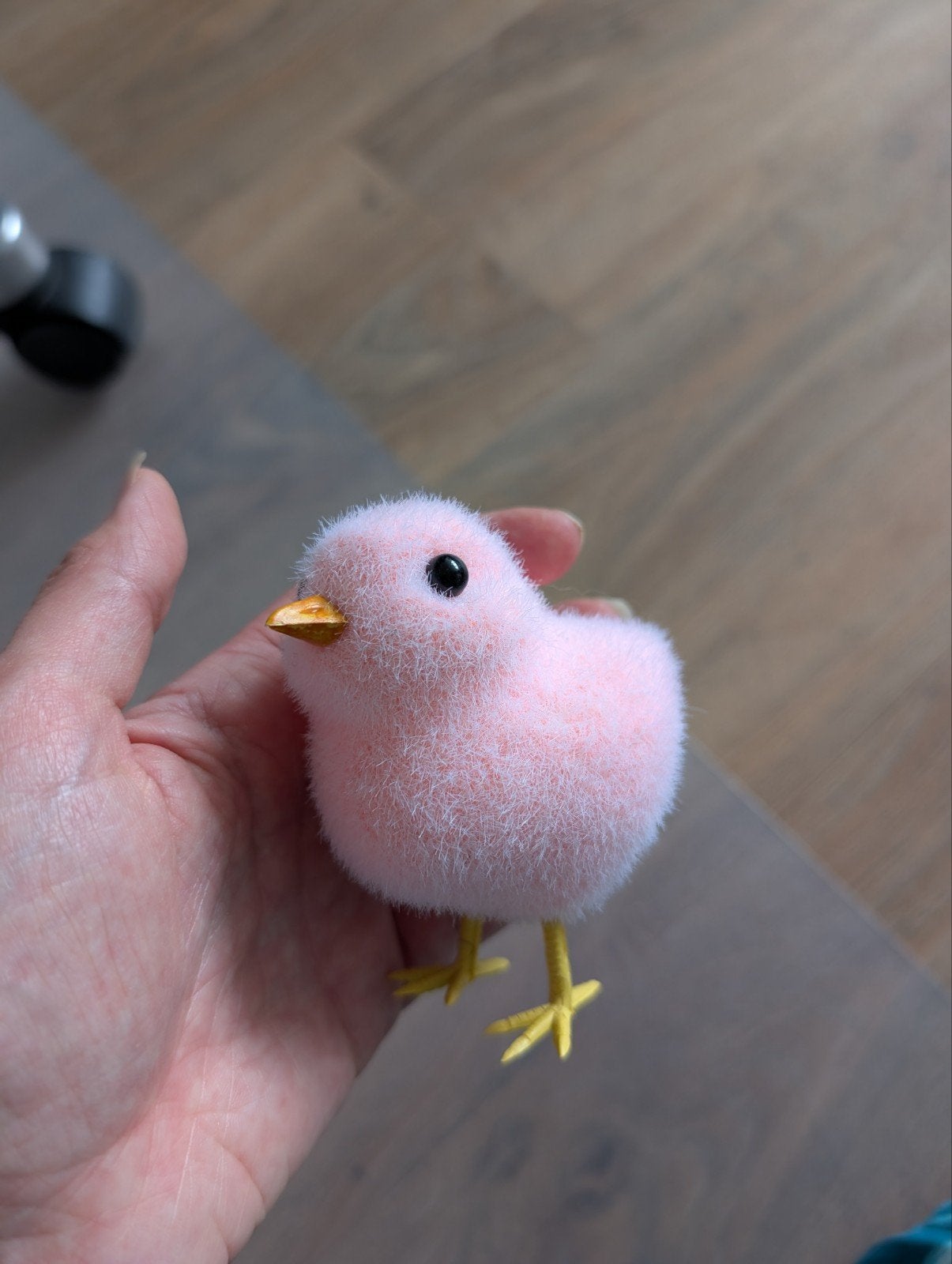 plastic roze kuikentje, Ophalen