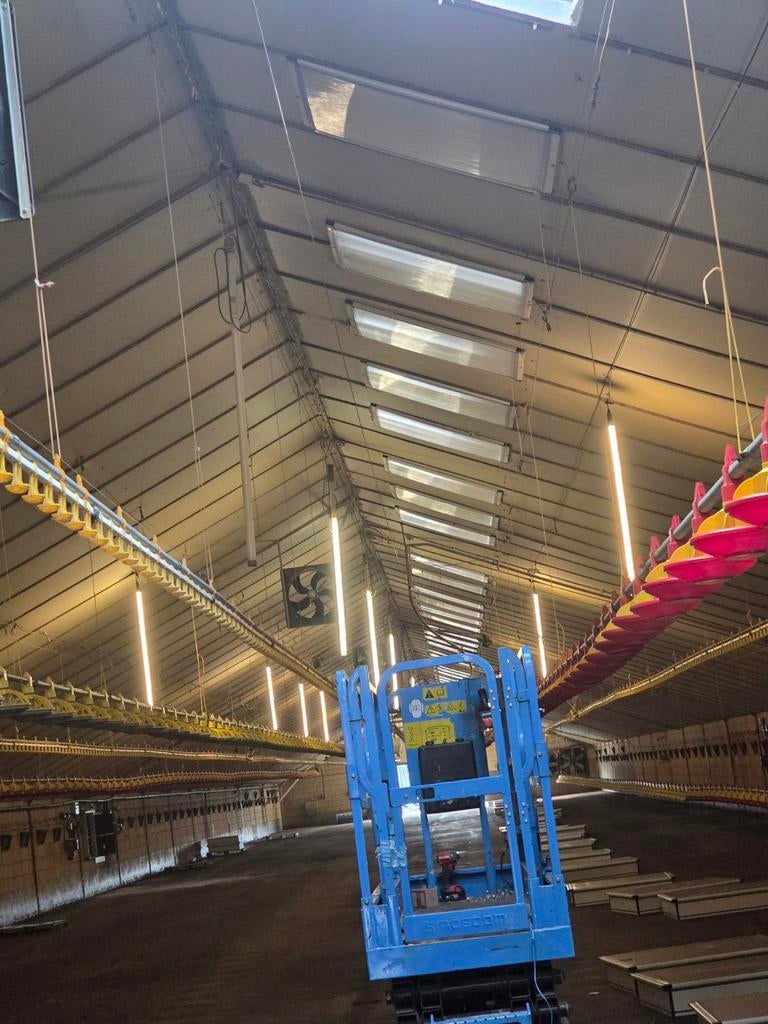 Lichtbakken lichtvenster kippenschuur b keus., Dieren en Toebehoren