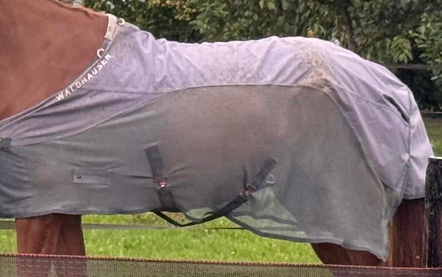 Vliegen reken deken combi waldhausen, Dieren en Toebehoren, Ophalen of Verzenden, Zo goed als nieuw