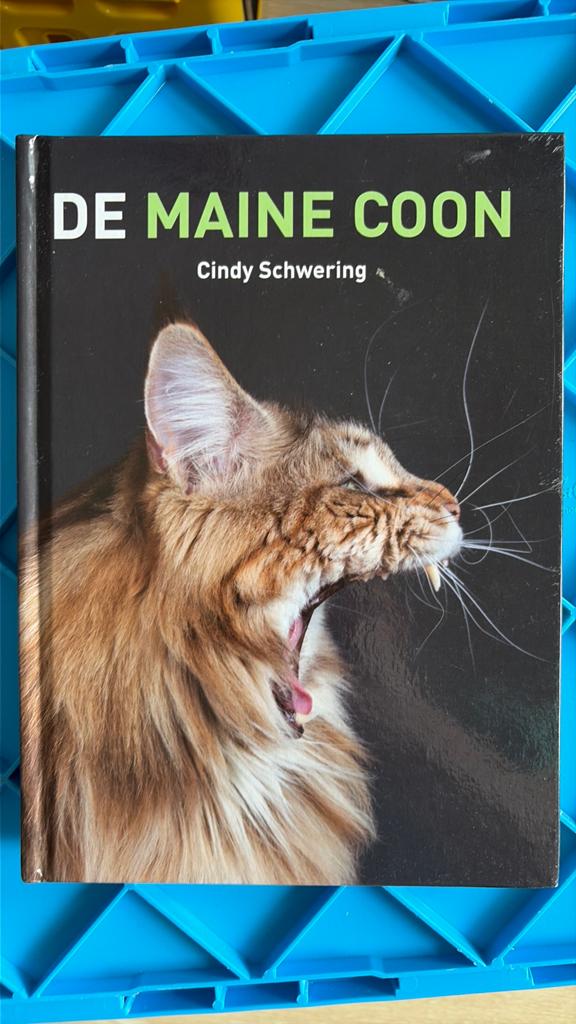Cindy Schwering - De Maine Coon, Gelezen, Cindy Schwering, Ophalen of Verzenden, Katten