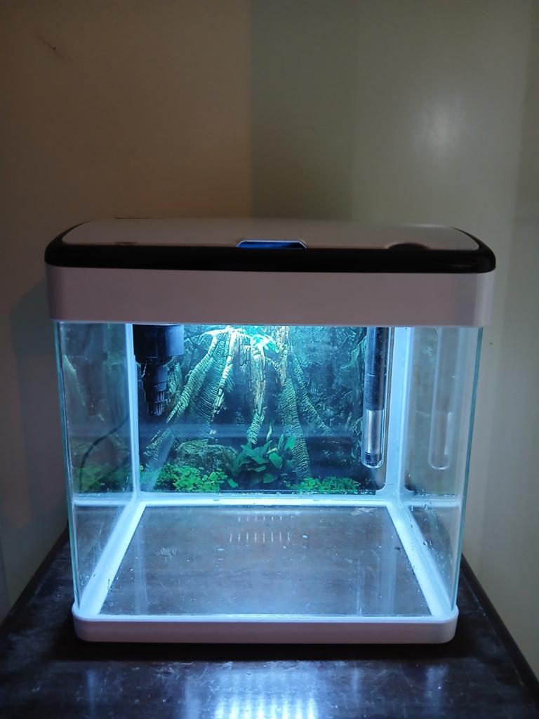 SuperFish 20L met led verlichting, Ophalen, Zo goed als nieuw, Leeg aquarium, Superfish