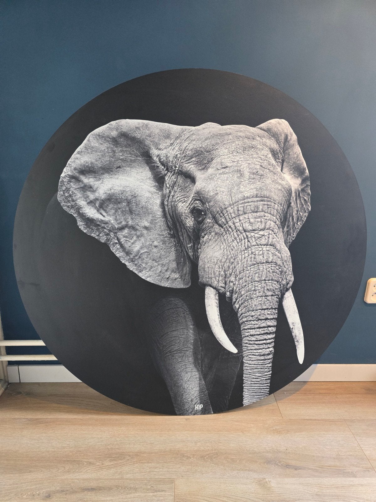 HIP Wandcirkel Olifant Zwart-Wit - Aluminium Dibond - 120cm, Ophalen, 120 cm, Zwart, Zo goed als nieuw