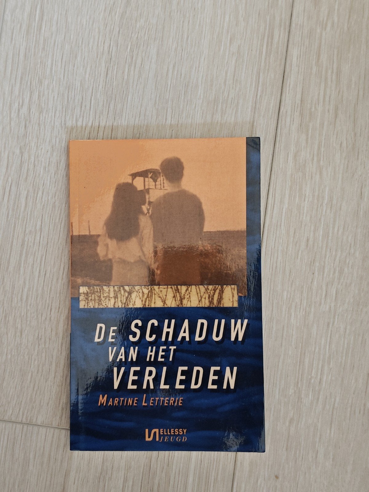 Martine Letterie - De schaduw van het verleden, Boeken, Ophalen of Verzenden, Zo goed als nieuw, Martine Letterie