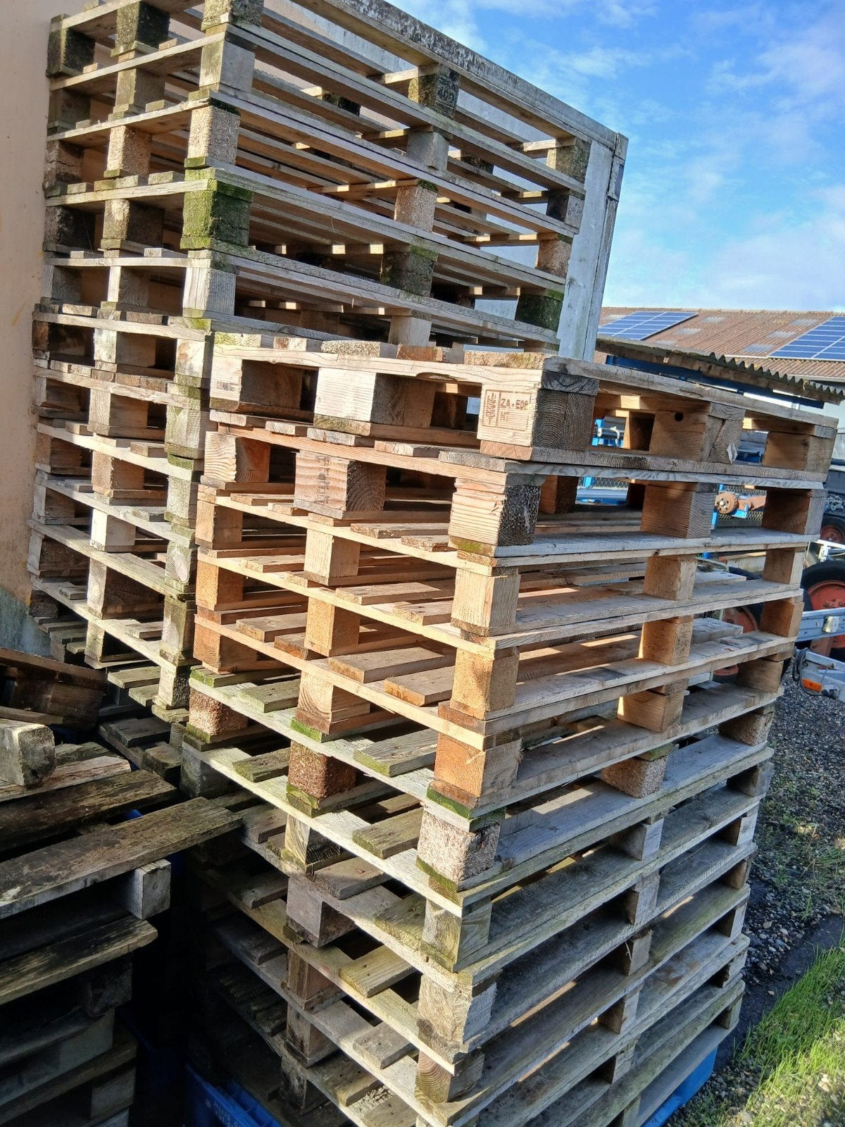 houten wegwerppallets met hetzelfde formaat als europallets, Ophalen, Overige houtsoorten, Minder dan 200 cm, Pallet