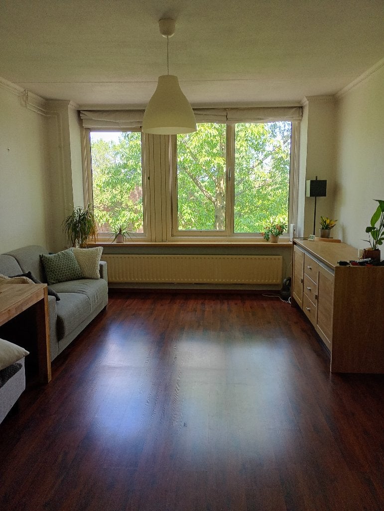 Kamer te huur in Haarlem, 50 m² of meer, Haarlem