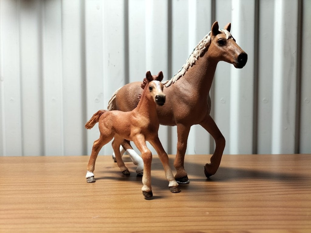 Schleich Engels volbloed familie, Ophalen of Verzenden, Zo goed als nieuw