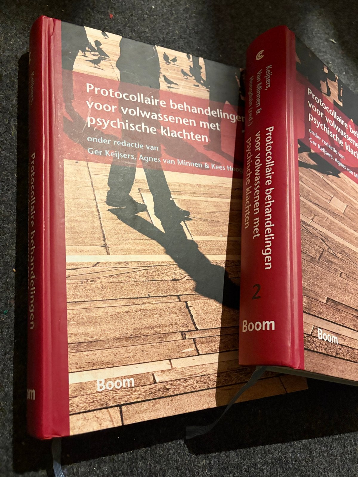 Protocollaire behandelingen volwassenen psychische klachten, Ophalen of Verzenden, Gamma, Zo goed als nieuw, HBO