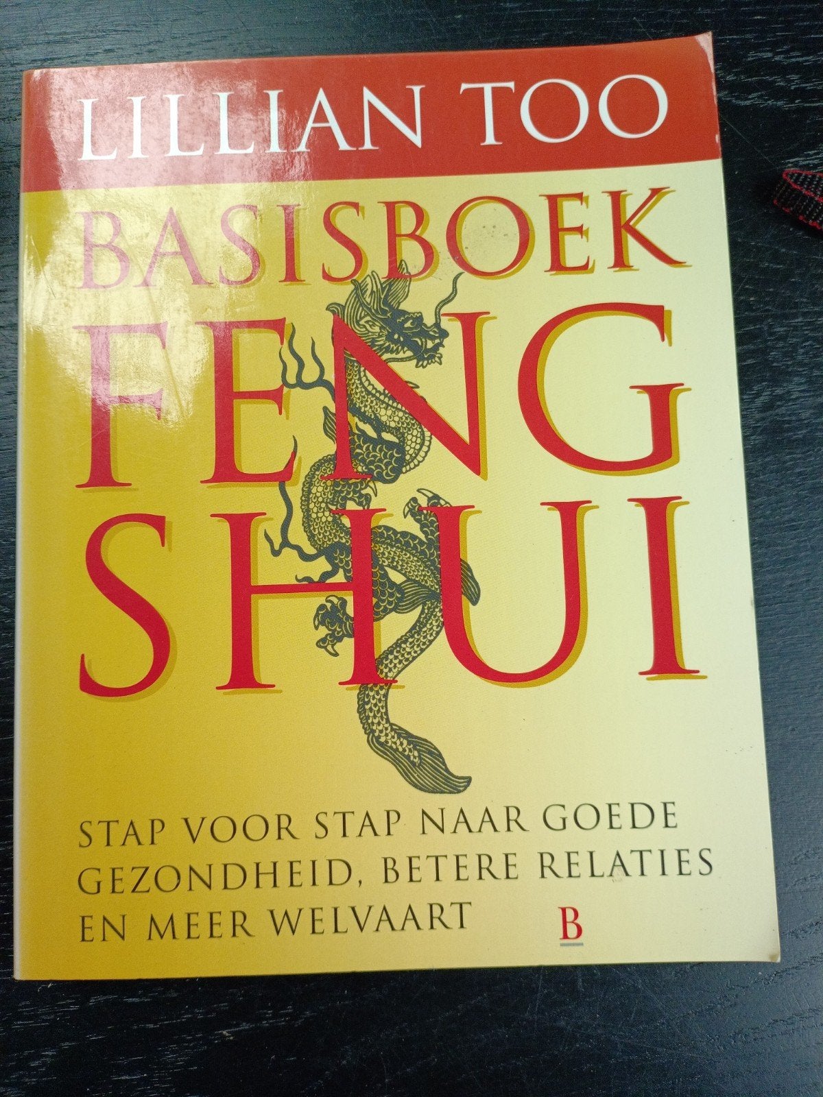 Basisboek Feng Shui - Lillian Too, Gelezen, Spiritualiteit algemeen, Ophalen of Verzenden, Lillian Too