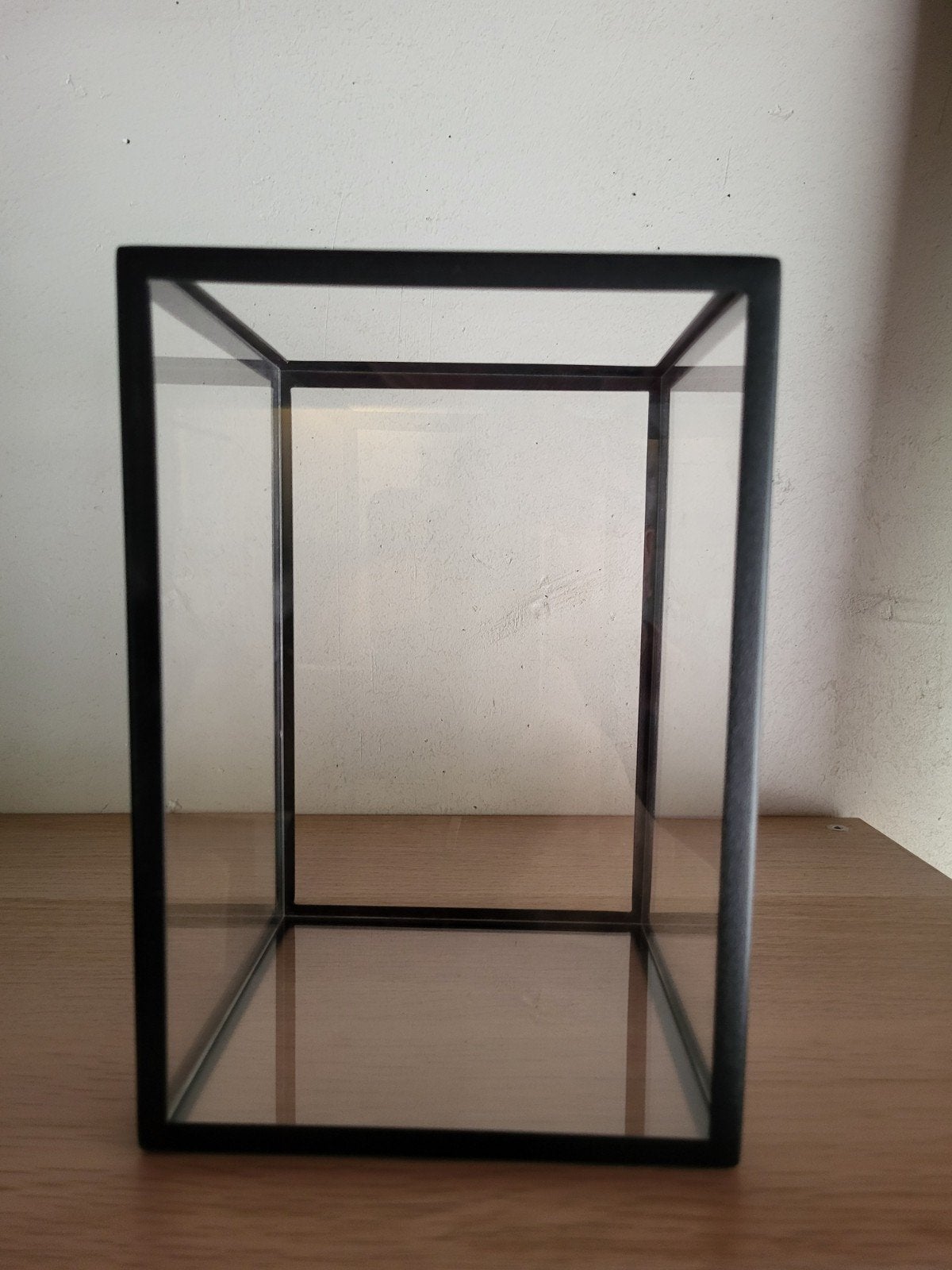 Set van 5 vitrines met metalen frame display showcase stolp, Ophalen, Gebruikt, Zwart, Metaal