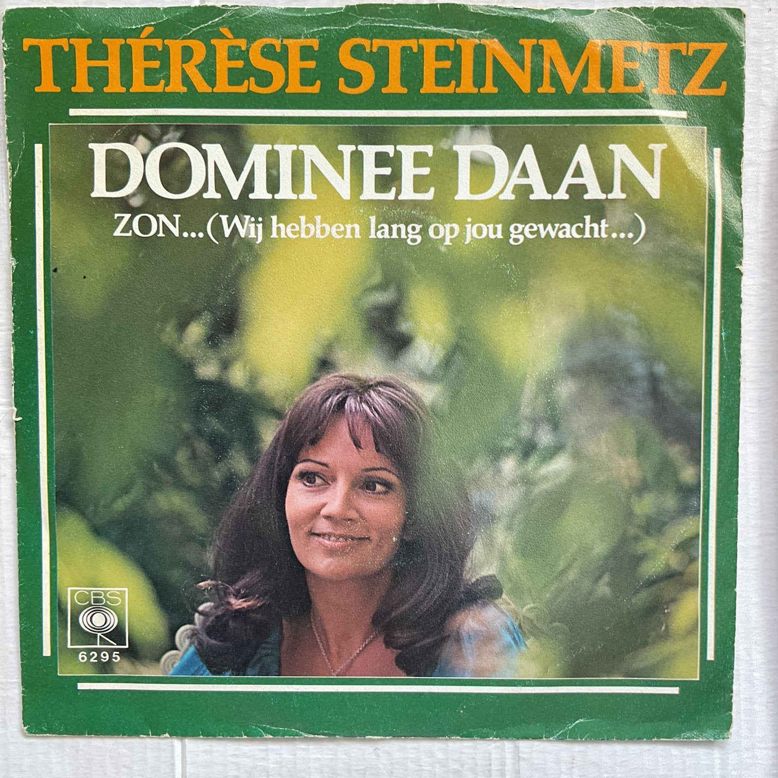 Therese Steinmetz - Dominee Daan, Verzenden, Gebruikt, Pop