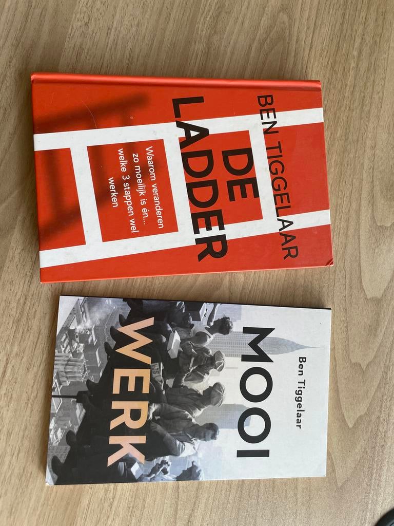 Ben Tiggelaar Boeken: De Ladder & Mooi Werk, Ophalen of Verzenden, Zo goed als nieuw