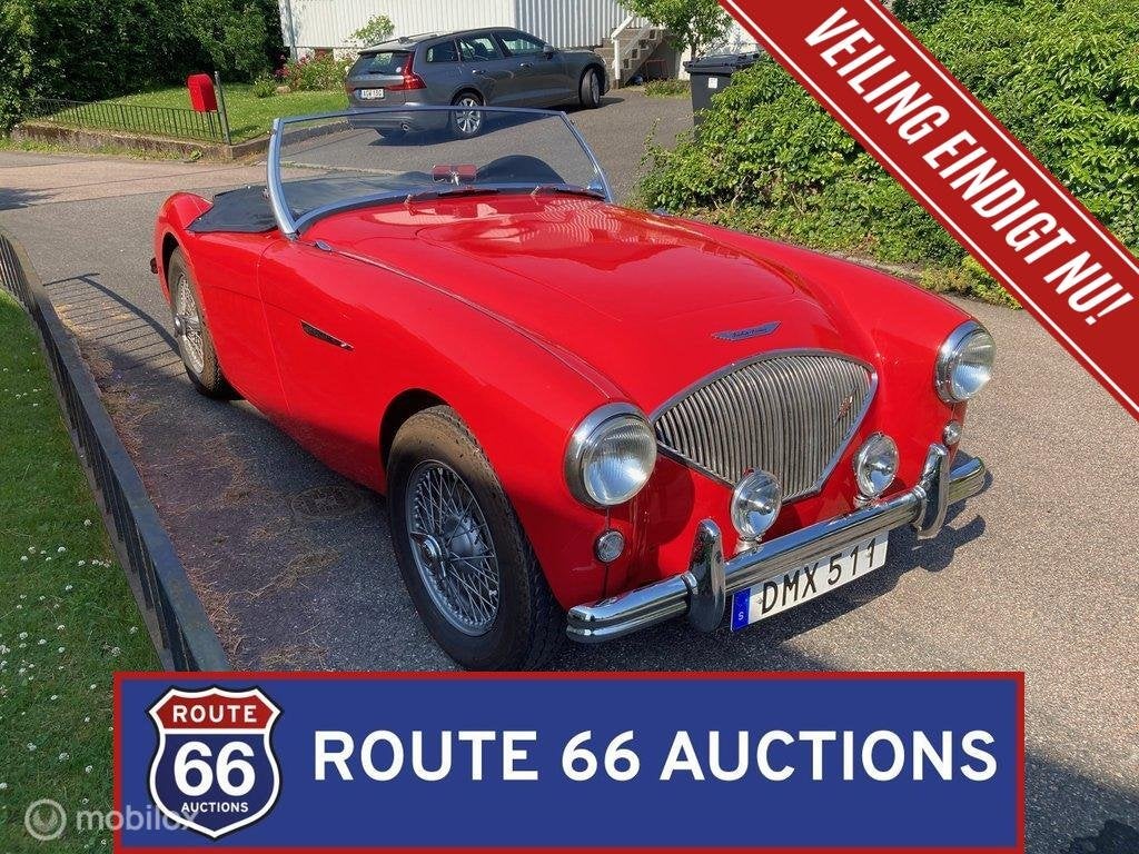 Austin-Healey 100 | 1954 | Route 66 Auctions, Auto's, Oldtimers, Austin, Overige carrosserieën, Zwart, Bedrijf