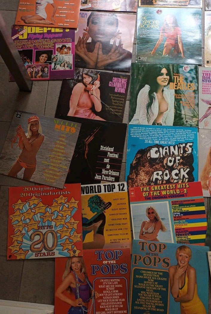 Ruim 50 vinyl elpees van alles wat, Cd's en Dvd's, Vinyl | Pop, Ophalen of Verzenden