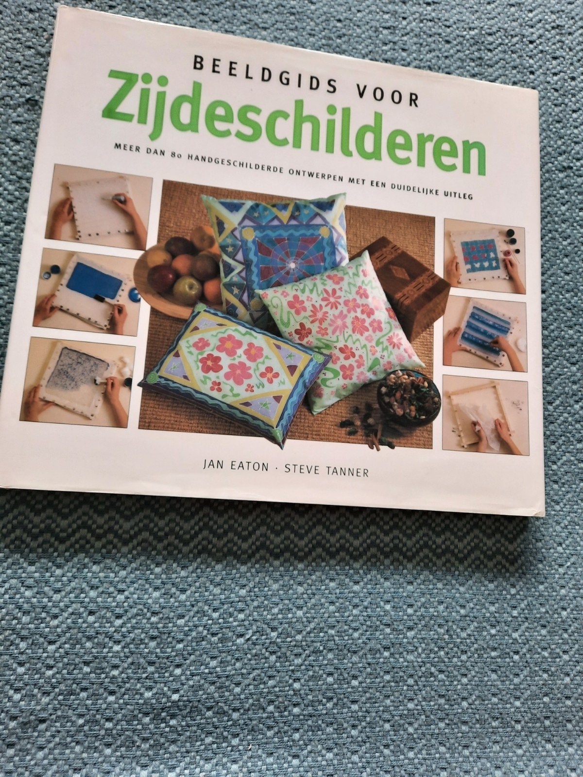 Beeldgids voor Zijdeschilderen - Jan Eaton & Steve Tanner, Boeken, Ophalen of Verzenden, Zo goed als nieuw, Tekenen en Schilderen