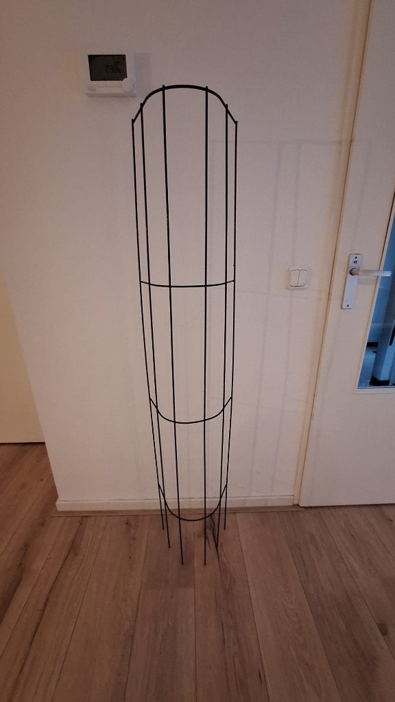 Nature planten klimrek voor regenpijp 4 maal, Ophalen, Eenjarig, Overige soorten, Volle zon