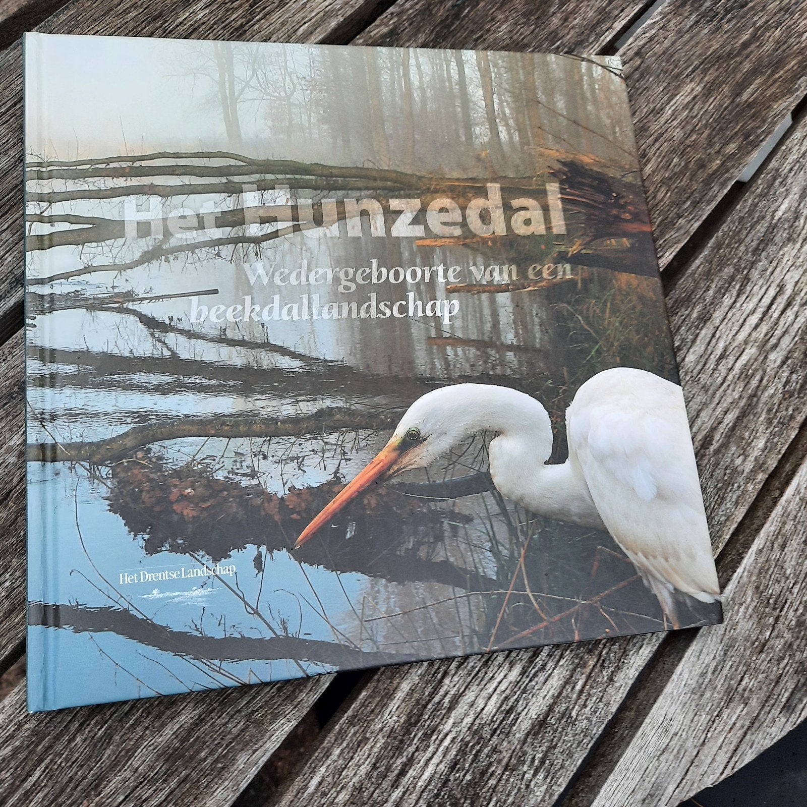 Het Hunzedal, Wedergeboorte van een beeklandschap, Ophalen of Verzenden