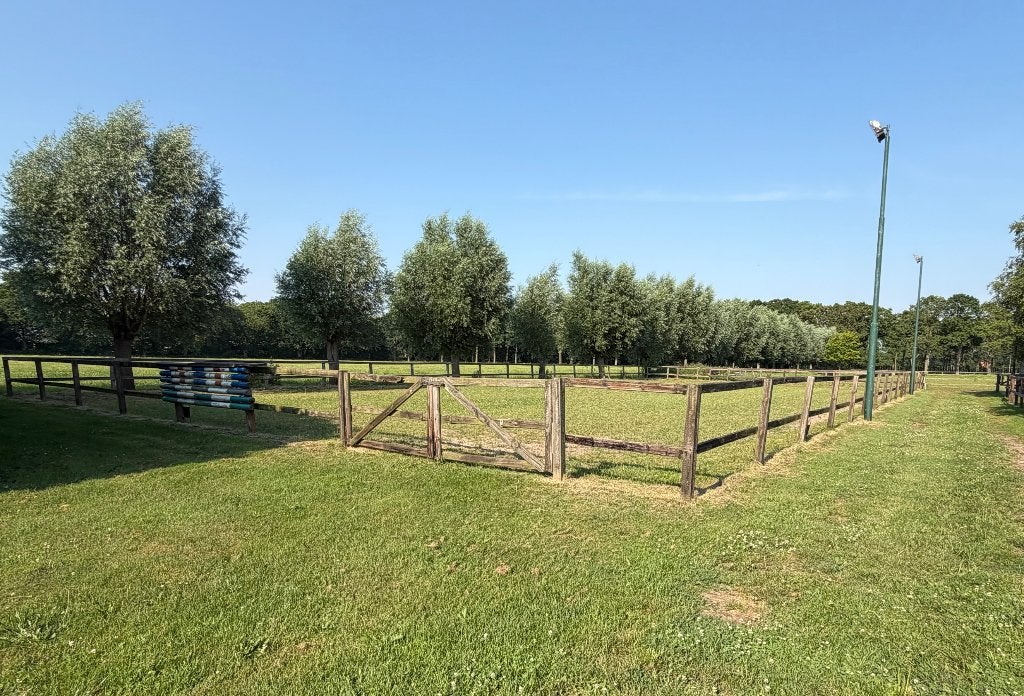 rijbak, houten omheining paardenbak 20x40 + 2 poorten, Weidegang, 4 paarden of pony's of meer