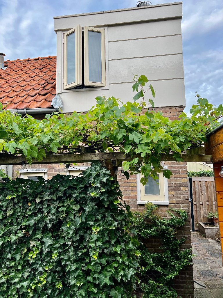 Winterverhuur Seaside Tiny House, 24 m², Twee onder één kap, Direct bij eigenaar, Noordwijk aan Zee
